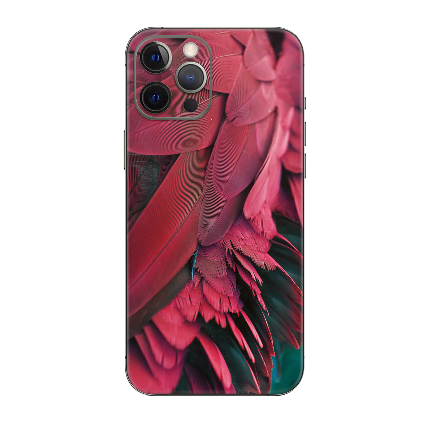 Backside Skin-3 - Für alle Smartphones bis 7 Zoll Display Schutz24