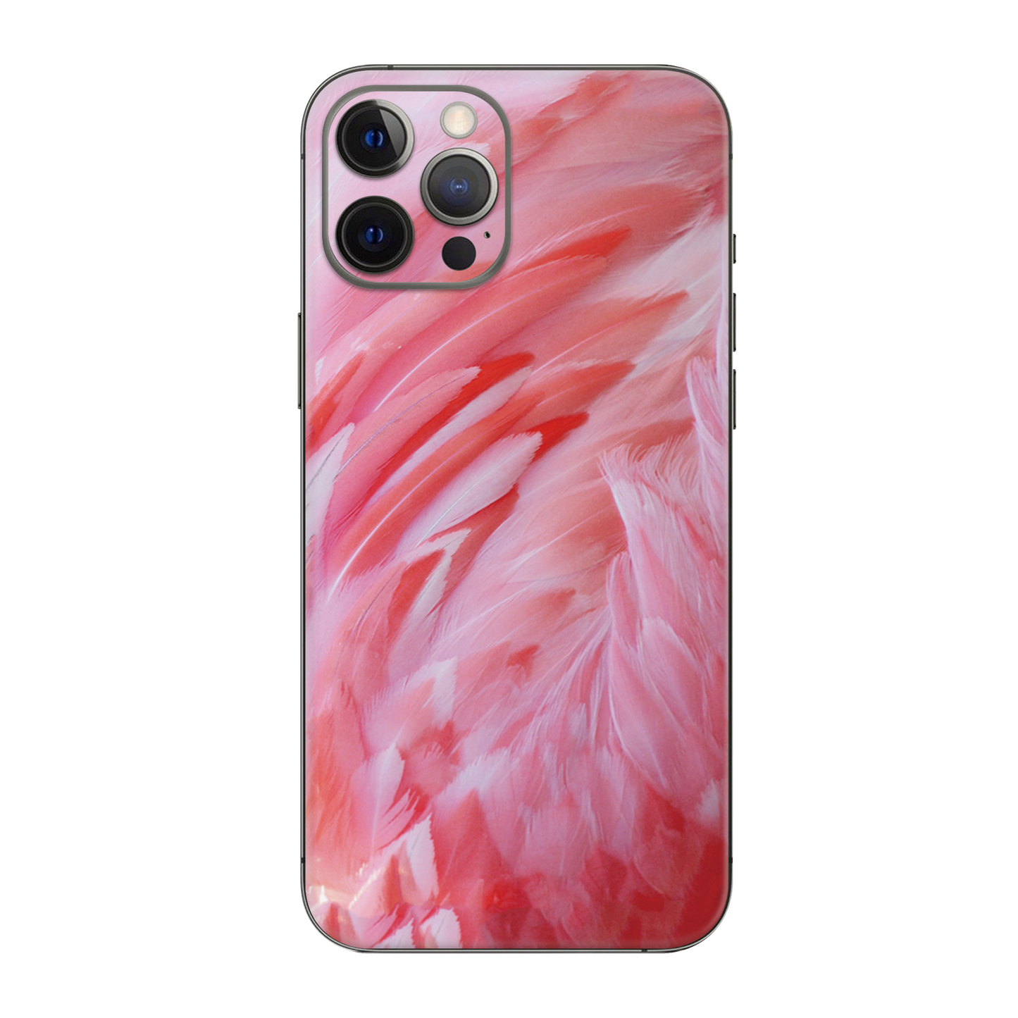 Backside Skin-4 - Für alle Smartphones bis 7 Zoll Display Schutz24