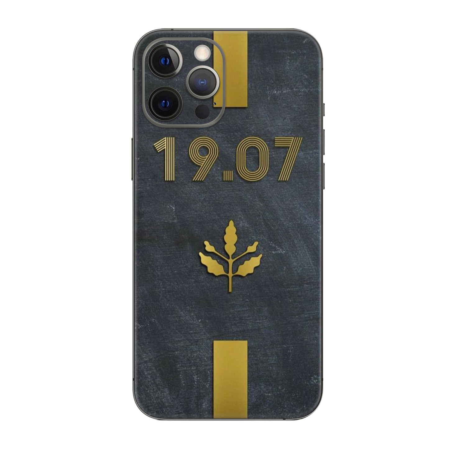 Backside Skin-Fenerbahce-1 - Für alle Smartphones bis 7 Zoll Display Schutz24